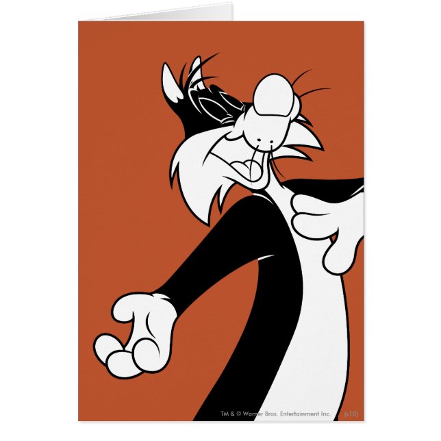 SYLVESTER™ Gesang (Vorne)