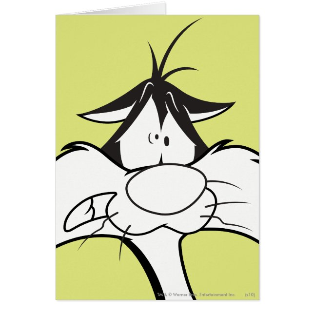 SYLVESTER™-Gesichter (Vorne)