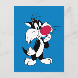 Sylvester Jr.   Klassische Pose Postkarte