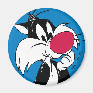 Sylvester  Klassische Pose Magnet
