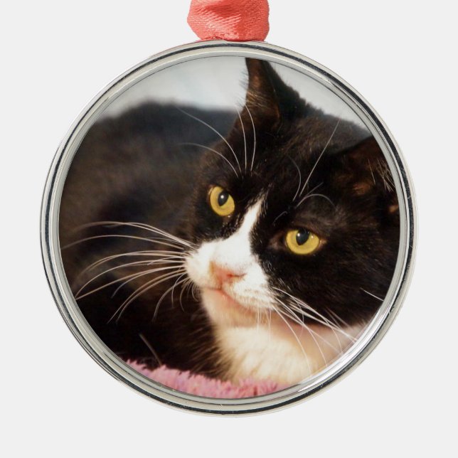 Sylvester Ornament Aus Metall (Vorne)