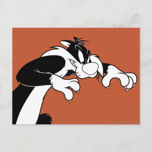 SYLVESTER™ Prowling Postkarte