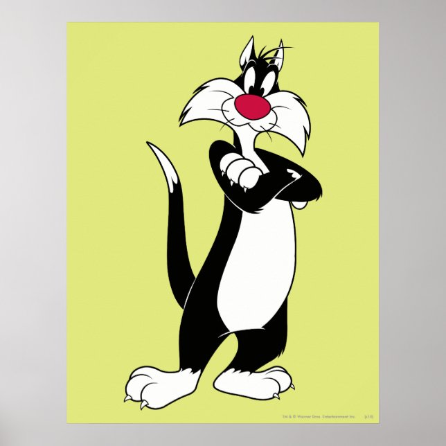 SYLVESTER™ Red Nose Poster (Vorne)