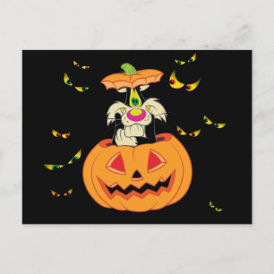 SYLVESTER™ Verstecken in einem Jack-o-Lantern Einladungspostkarte