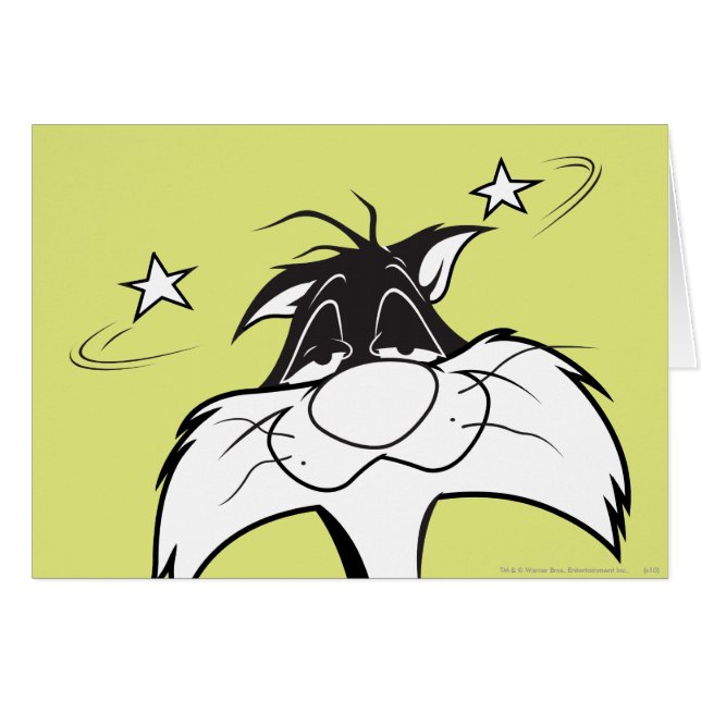 SYLVESTER™ Wundkopf (Vorderseite (Horizontal))