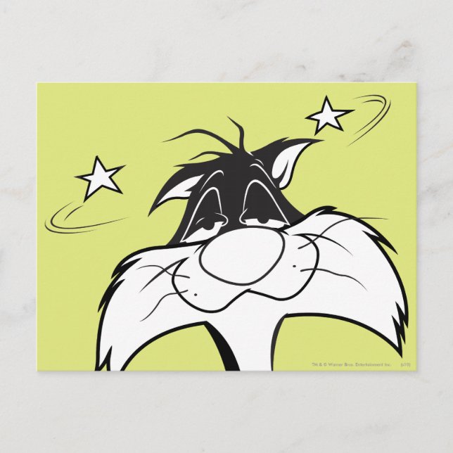 SYLVESTER™ Wundkopf Postkarte (Vorderseite)