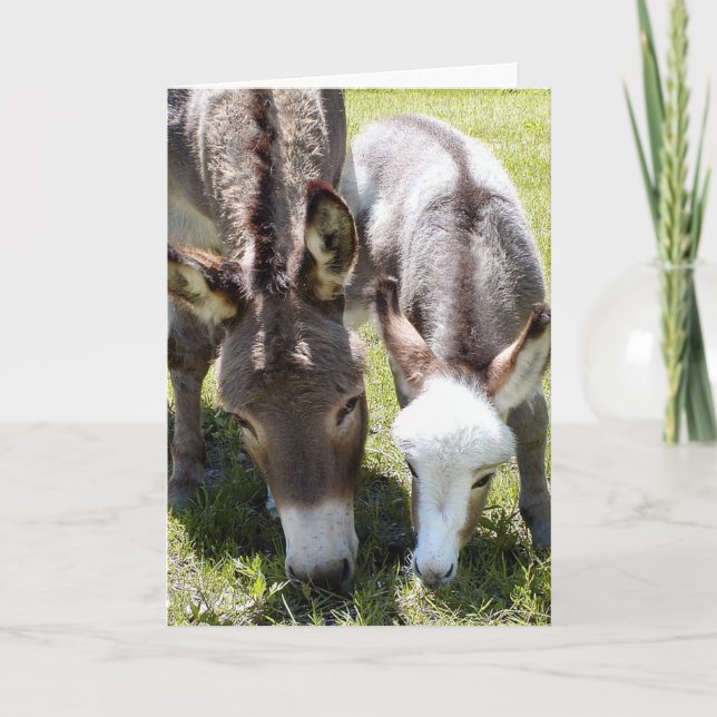 Sylvia & Mr. T Karte (Vorderseite)