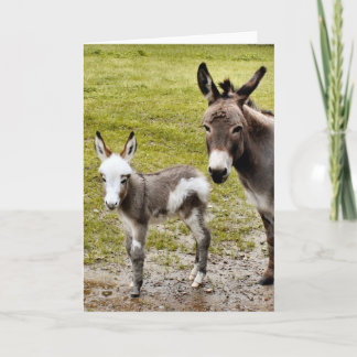 Sylvia & Mr. T Karte