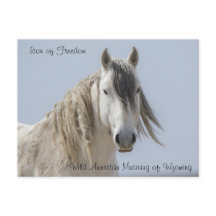 Symbol der Freiheit - Postkarte