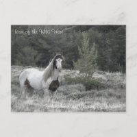 Symbol des Wilden Westens - Postkarte