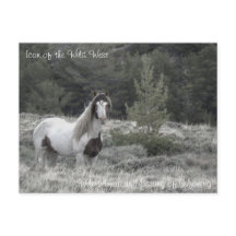 Symbol des Wilden Westens - Postkarte