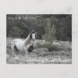 Symbol des Wilden Westens - Postkarte