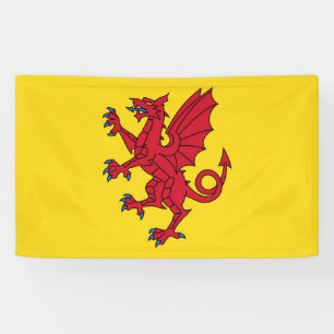 Symbol für Somerset Flag England Banner