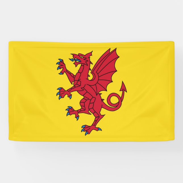 Symbol für Somerset Flag England Banner (Horizontal)