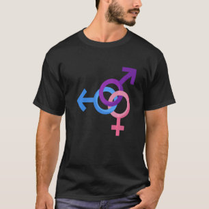 Symbole Lgbtq Gay Rights Stolz Regenbogen T-Shirt