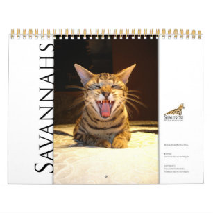 Syminou Kalender 2018 Savannah Cat