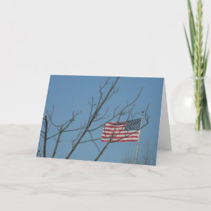 Sympathiekarte "Amerikanische Flagge mit Zweigen" Karte