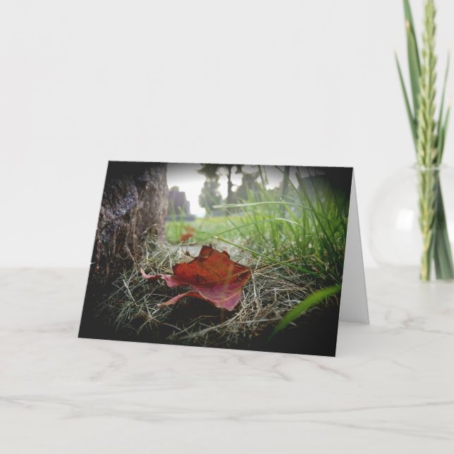 Sympathiekarte "erstes Anzeichen eines Untergangs" Karte (Vorderseite)