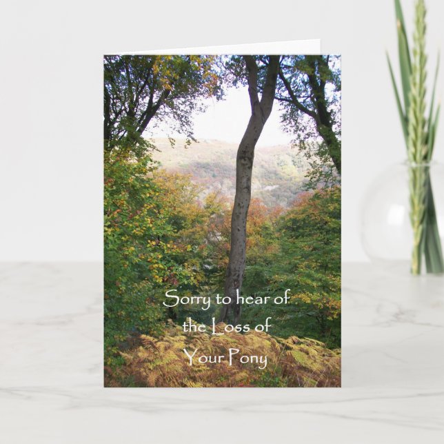 Sympathiekarte, Pony-Verlust Karte (Vorderseite)