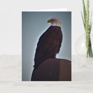 Sympathiekarte "Top Bird" Karte