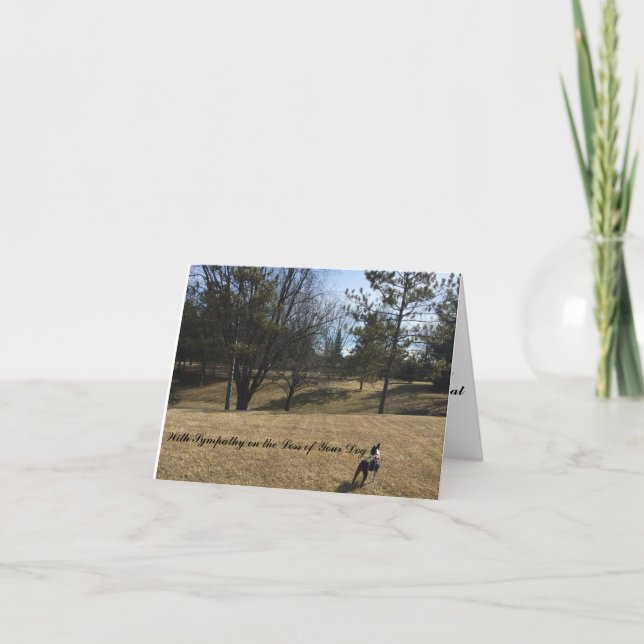 Sympathische Karte für Hundehund Boston Terrier (Vorderseite)