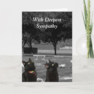 Sympathische Karte mit schwarzen Katzen