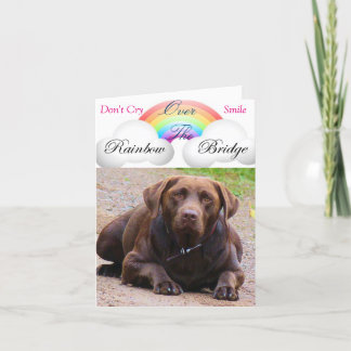 Sympathische Karten für Hunde j/ Labdor Retrivers 