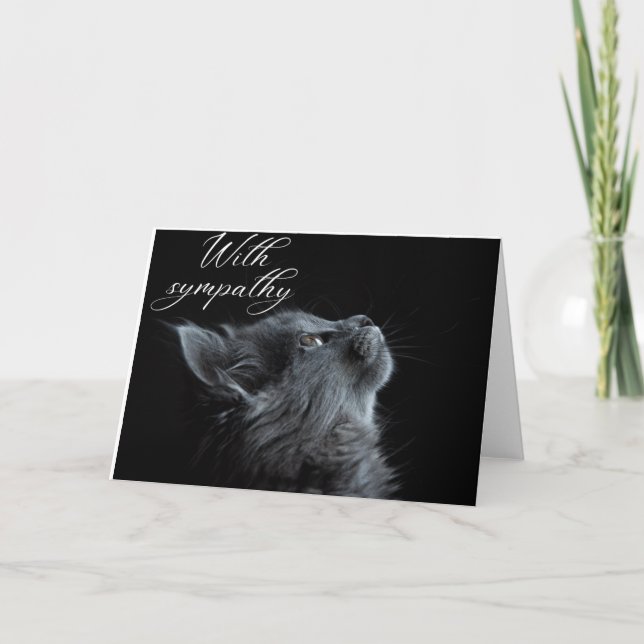Sympathy Card Cat Einladung (Vorderseite)