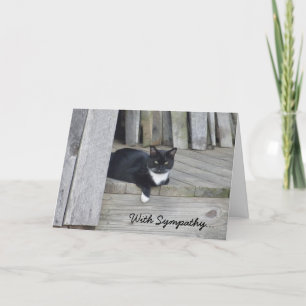 Sympathy Card — Verlust der Katze Karte