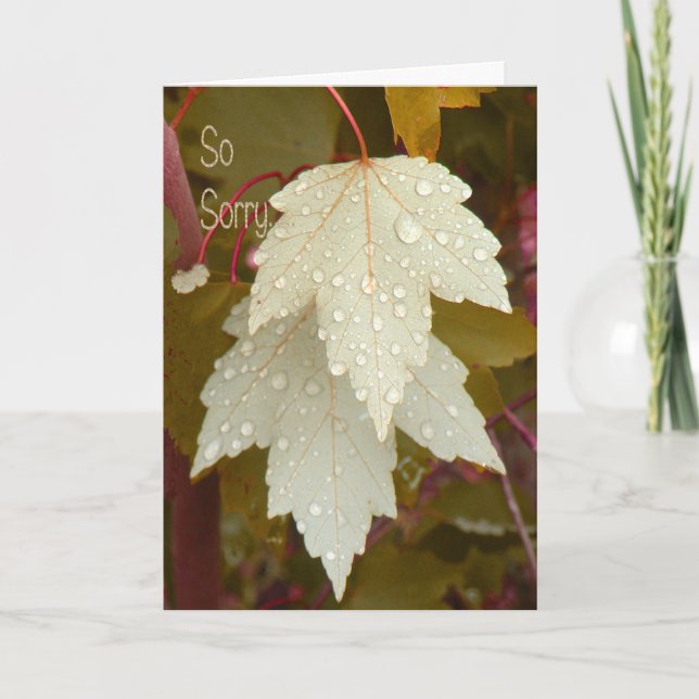 Sympathy-Karte für den Verlust des Hundes Karte (Vorderseite)