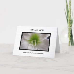 Sympathy Thank You Card - White  Amaryllis Dankeskarte