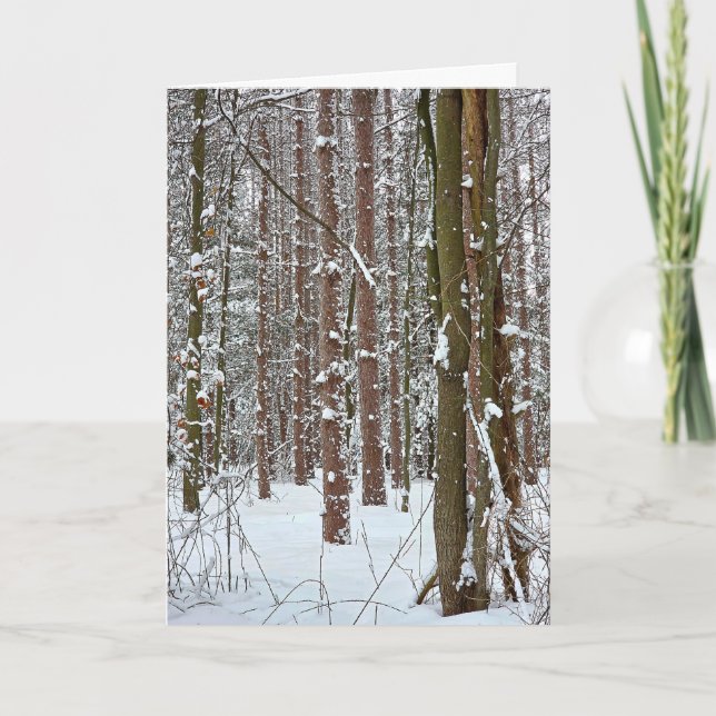 Sympathy Tranquil Winter Forest  Karte (Vorderseite)
