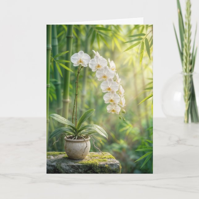 Sympathy White Orchids and Bamboo Karte (Vorderseite)