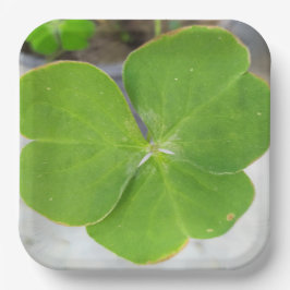 Symphonie von Blätter: 9-Zoll-Papierplatte Pappteller