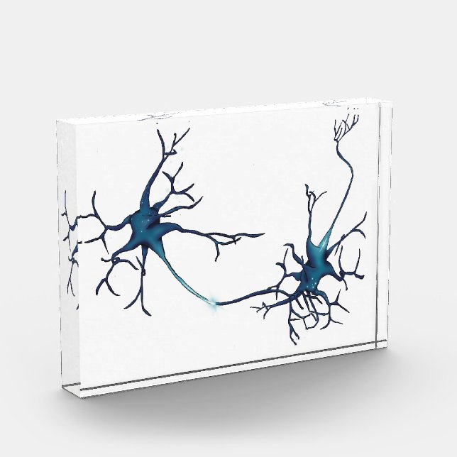 Synapse zwischen Neuronen, Neurowissenschaftsneuro Fotoblock (Links)