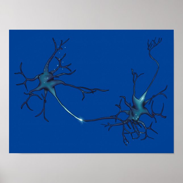Synapse zwischen Neuronen, Neurowissenschaftsneuro Poster (Vorne)
