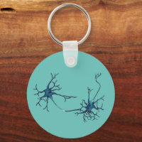 Synapse zwischen Neuronen, Neurowissenschaftsneuro