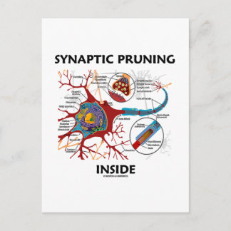 Synaptisches Beschneiden innerhalb der Neuron Syna Postkarte