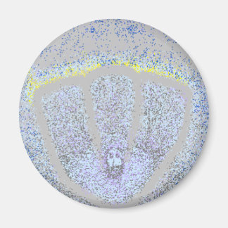 Synästhesie Mittwoch Magnet