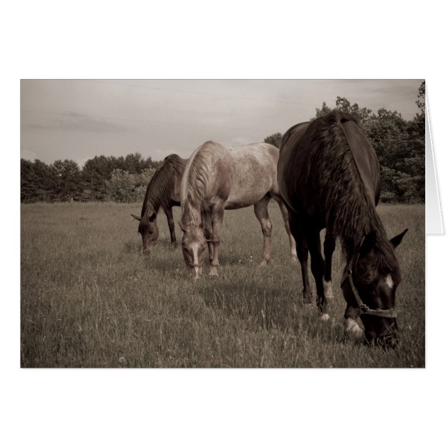 Synchronisiertes Munching (Vorderseite (Horizontal))
