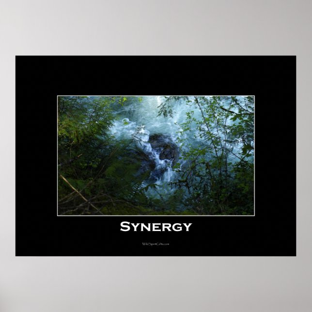 SYNERGY Nature River Inspiration Poster (Vorne)