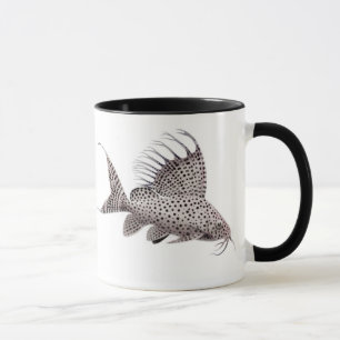 Synodontis eupterus Wels-Tasse Tasse