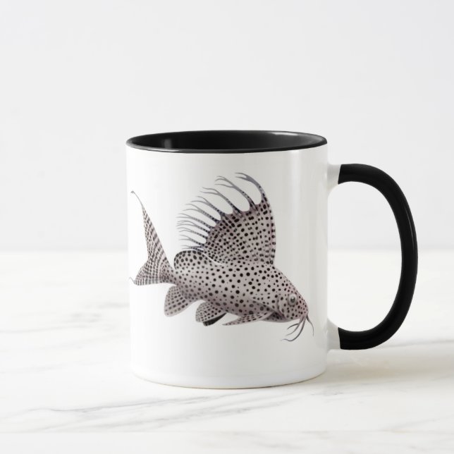 Synodontis eupterus Wels-Tasse Tasse (Rechts)