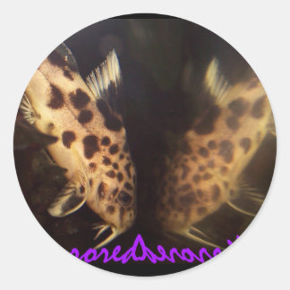 Synodontis-Katfisch-Spiegelaufkleber Runder Aufkleber