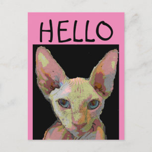 SYPHNX HAIRLESS CAT HELLO Postkarte
