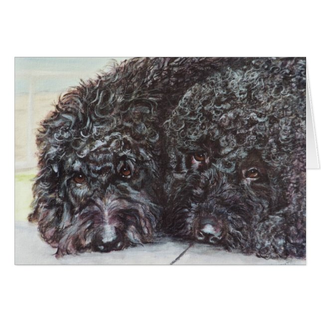 "Syrah und Cabernet " (Vorderseite (Horizontal))