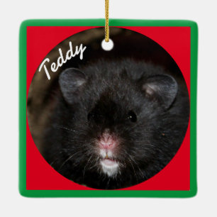 Syrian Pet Hamster - Standard Hamster - Black Bar Keramikornament