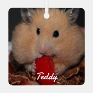 Syrian Pet Hamster - Standard Hamster - Creme Ornament Aus Metall