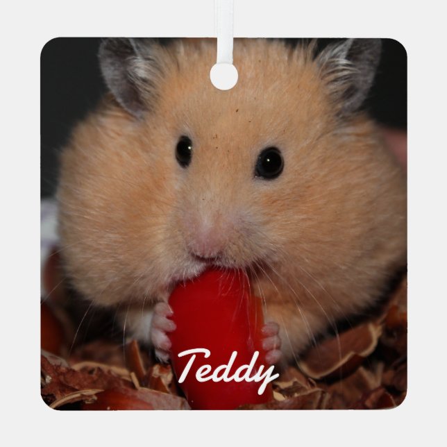 Syrian Pet Hamster - Standard Hamster - Creme Ornament Aus Metall (Rückseite)