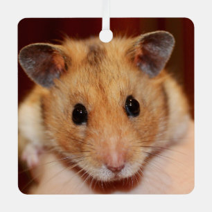 Syrian Pet Hamster - Standard Hamster - Teddy Bear Ornament Aus Metall